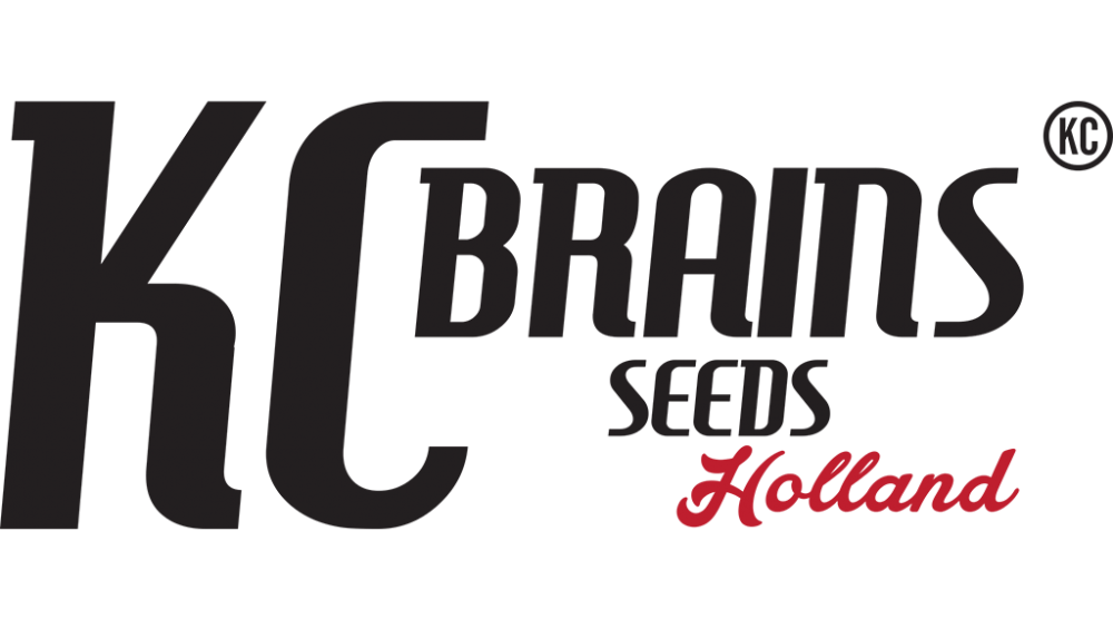 KC-Brains