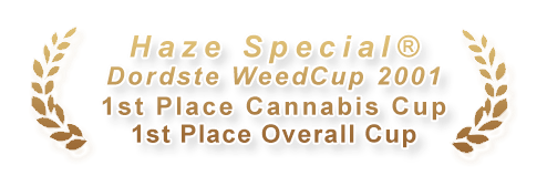 Haze Special - Cup Winner!