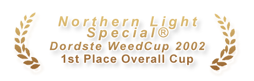 Northern Light Special - Cup Winner!
